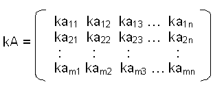 Multiplikation Matrix Skalar